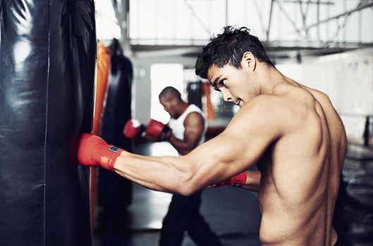 Hes dedicated to the sport of boxing. a young male boxers training on heavy bags.