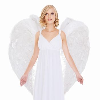 Radiant beauty. Studio shot of a young woman in angel wings isolated on white.