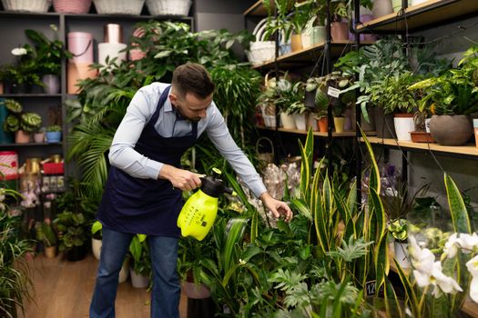 a salesman in a potted plant store takes care of the flowers