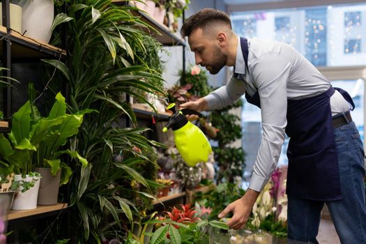 gardening specialist to spray flowers with a spray bottle in a bouquets and potted plant shop