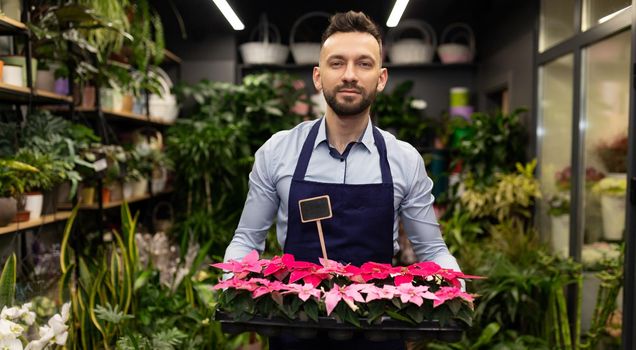 florist entrepreneur with a tray of small scarlet flowers for Valentine's Day stands among the bouquets and looks with a smile at the camera