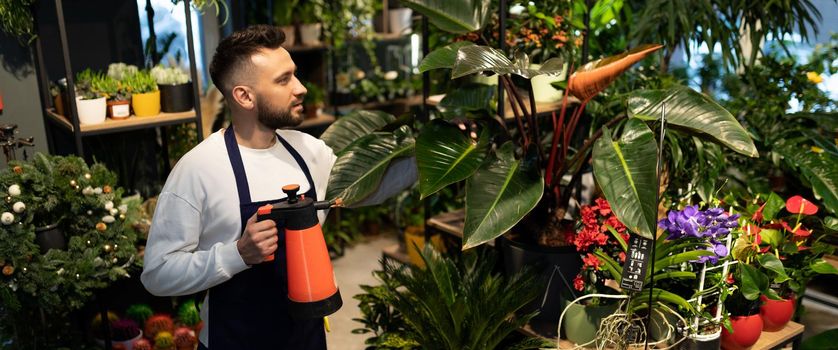 male florist In the garden center takes care of potted plants by spraying them from a spray bottle