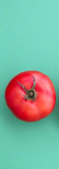 Fresh ripe red tomatoes on green background, organic vegetable food