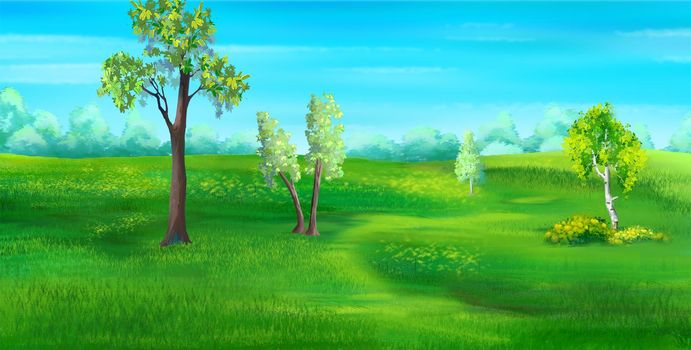Green grass in the meadow illustration