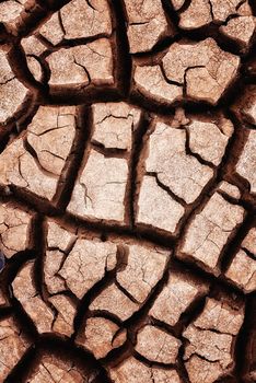 Cracked by the summer heat. Dry cracked ground in the African landscape.