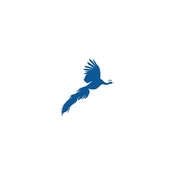 Peacock icon logo illustration design