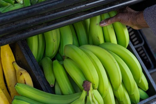 Close up of green bananas on a farmers market stall