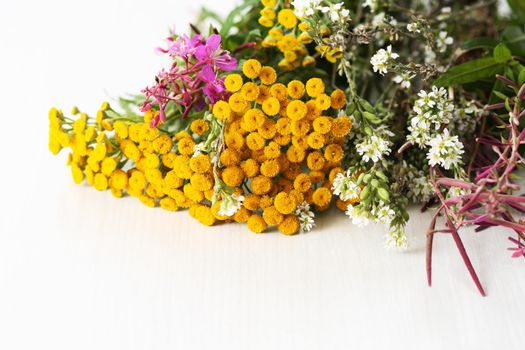 Bouquet of various wild flowers on white background