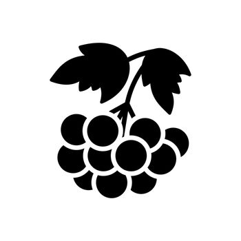 Rowan branch with berries and leaf vector icon