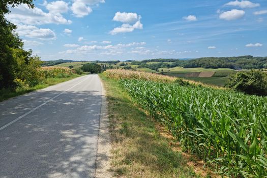 Road through scenic agricultural landscape view