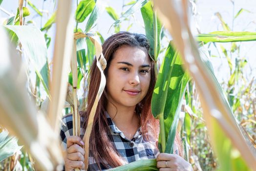 Cheerful female caucasian woman in the corn crop