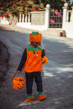 Cute Little Halloween Pumpkin