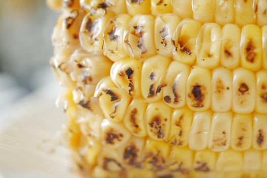 corn cob on white background close up