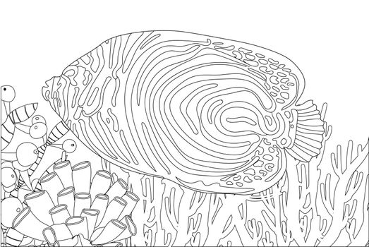 Coloring page fish. Sea life. Undersea world. vector illustration.