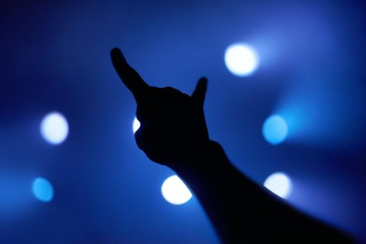 a persons hands at a music concert. This concert was created for the sole purpose of this photo shoot, featuring 300 models and 3 live bands. All people in this shoot are model released.