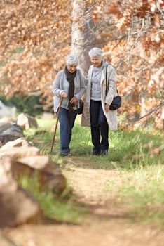 Enjoying the season of Autumn. Two senior ladies taking a stroll in the forest.