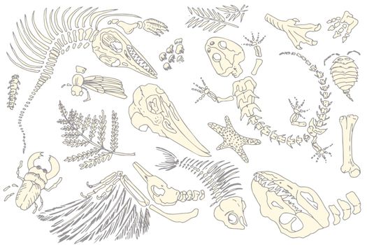Set of silhouette imprints skeletons of prehistoric animals, insects and plants. Gray archeology, crack rocks fragments , debris boulders. Set of realistic hand drawn art. Vector illustration