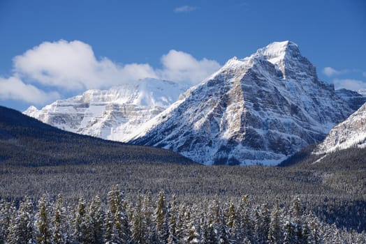 winter canadian rockies