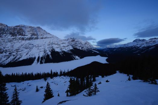 canadian rockies in winter