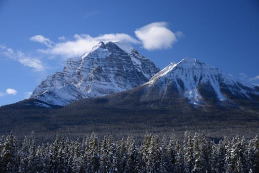 winter canadian rockies