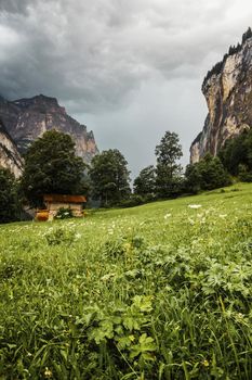 Lauterbrunnen valley, Switzerland. Swiss Alps. Barn house in mountains. Forest, rocks and green meadow. Landscape after rain.
