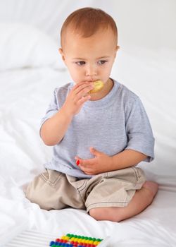 Eating a tasty cracker. A cute little boy eating a tasty cracker.