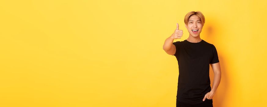 Portrait of pleased handsome asian guy, showing thumbs-up in approval, standing over yellow background.