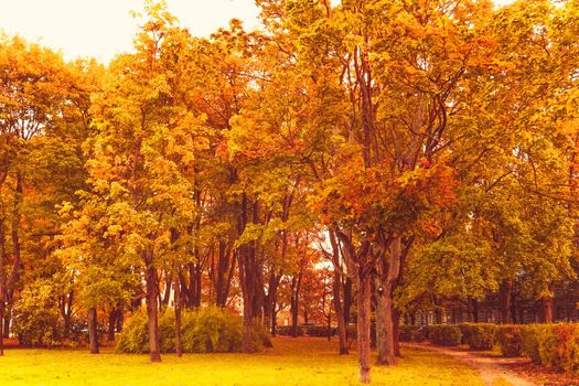 Beautiful autumn landscape background, vintage nature scene in fall season