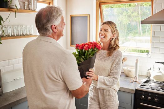 Surprise flowers, love celebration and couple with smile to celebrate birthday, anniversary or romantic event in home kitchen. Senior man and woman giving bouquet of roses as present or gift
