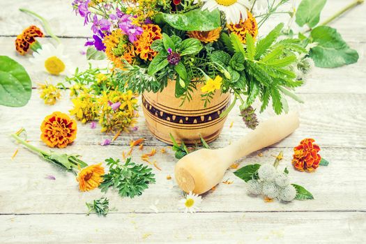 Herbs in a mortar. Medicinal plants. Selective focus.