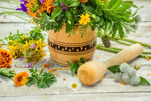 Herbs in a mortar. Medicinal plants. Selective focus.