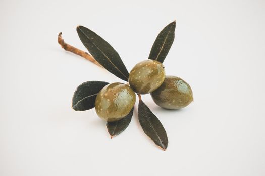 Green Olives Branch Isolated