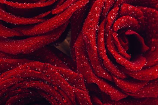 Beautiful Red Roses Background