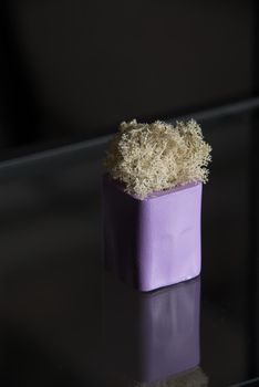white moss in a violet concrete pot