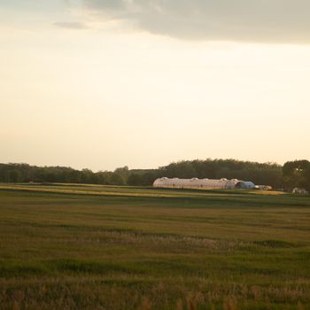 Distant greenhouse tent and a field in a sunset