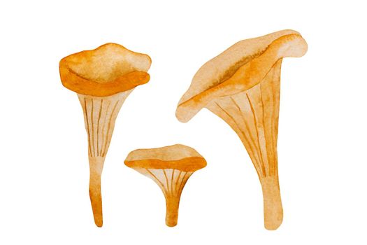 Autumn mushroom paintings