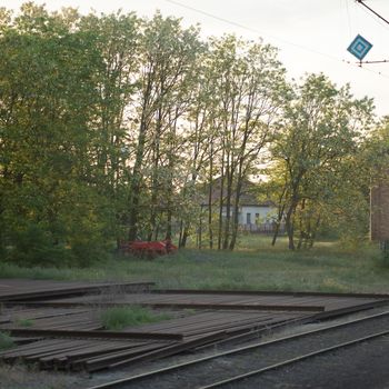 Railway tracks and a forest next to them