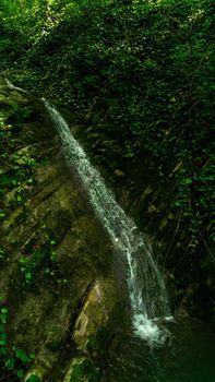 Forest waterfall in Sochi, Russia. Berendeyevo kingdom tourist trail.