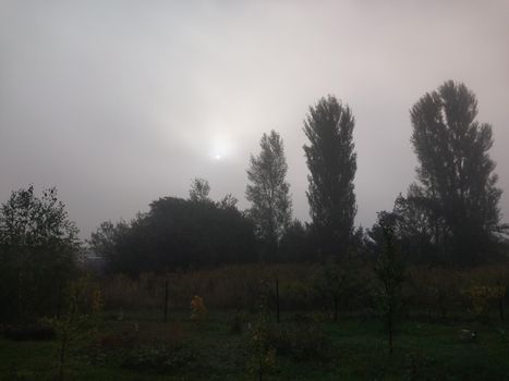 Autumn morning mist in a the village
