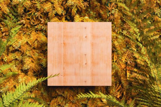 Wooden board placed on fern leaves in autumn park