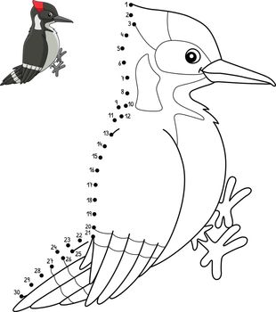 Dot to Dot Woodpecker Bird Isolated Coloring Page