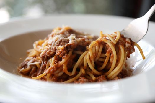 spaghetti Bolognese with minced beef and tomato sauce 