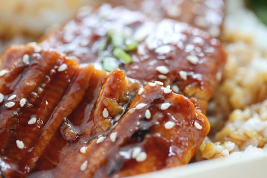 Japanese food eel grilled with rice Unagi don in close up