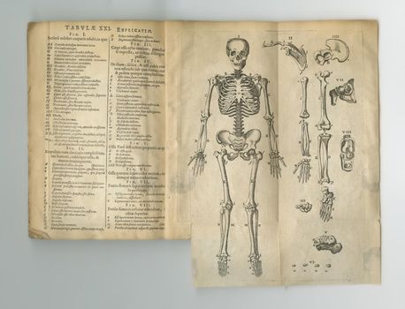 Aged latin anatomy book. An old anatomy book with its pages on display.
