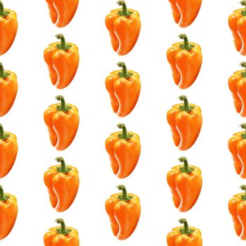 Illustration realism seamless pattern vegetable paprika orange color on a white isolated background. Sweet bell pepper