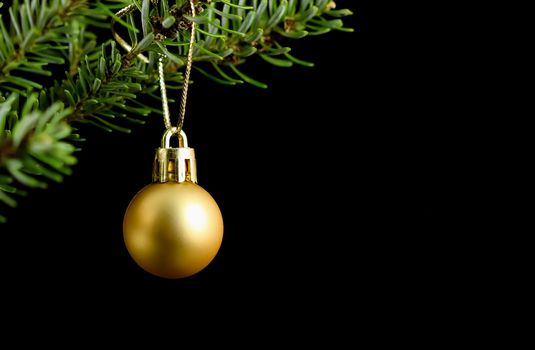 Yellow ball on a green branch of a Christmas tree isolated on a black background