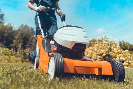 A professional gardener with a lawnmower cares for the grass in the backyard.
