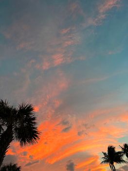 Beautiful coconut palm tree with amazing vivid sky at sunset