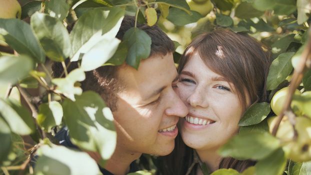 A boy and a girl in love in the branches of an apple tree hugging each other.