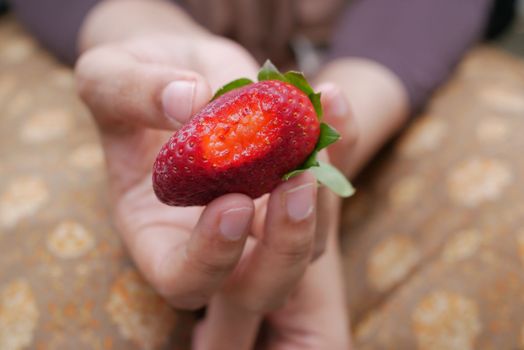 women holding a half eaten strawberry
